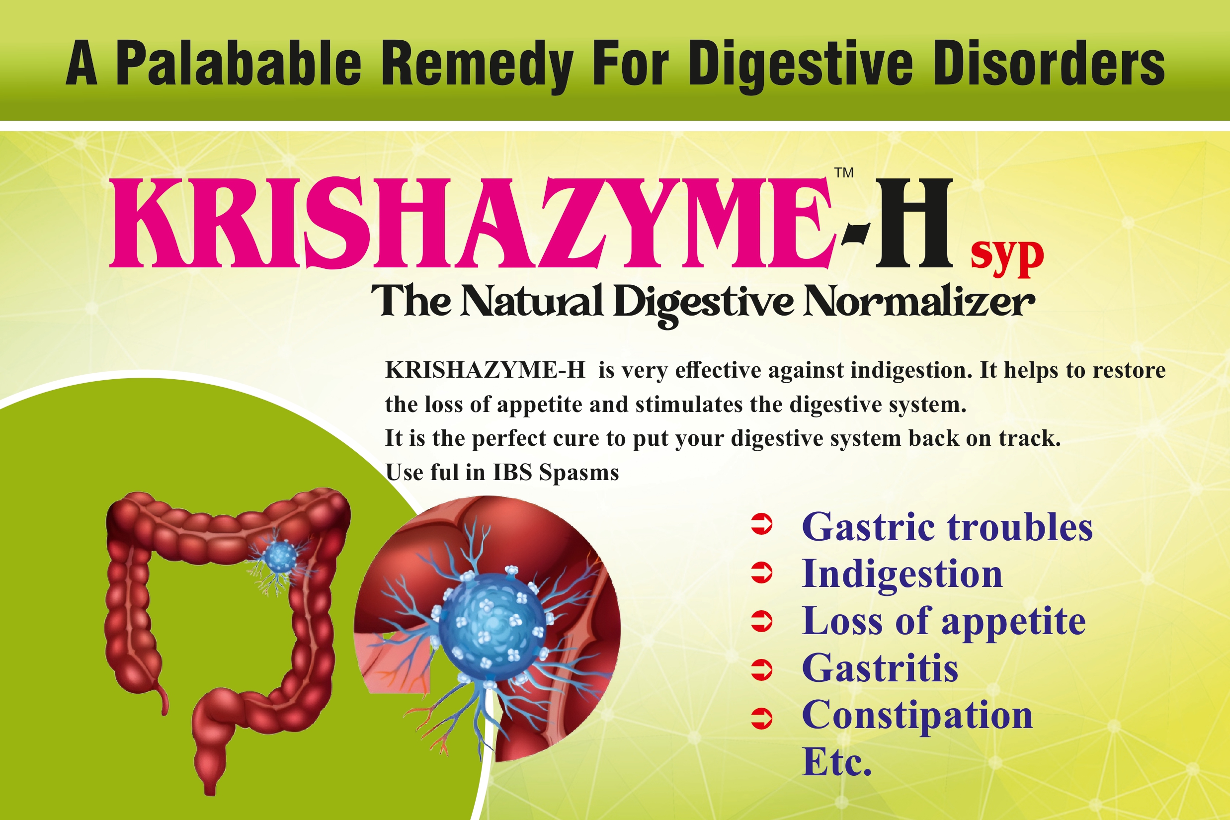 KRISHAZYME-H Syrup – The Natural Digestive Normalizer
